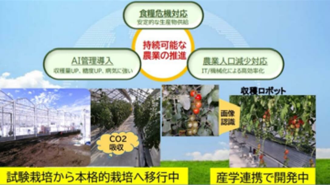 ミニトマト自動収穫ロボット